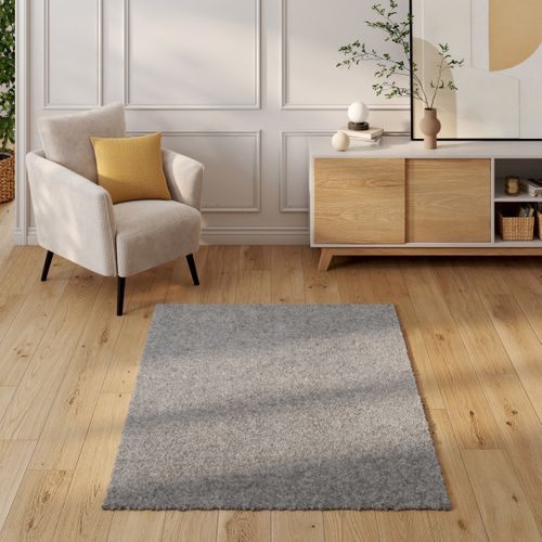 Tapis 120x170 cm LUZ Gris