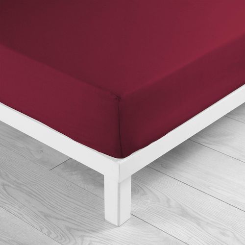 Pack Parure De Couette 260x240 Cm Délifique + Drap Housse 160x200 Bordeaux