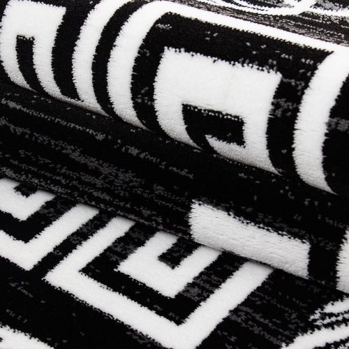 Roi - Tapis à Motifs Baroques - Noir Et Blanc 200 X 290 Cm