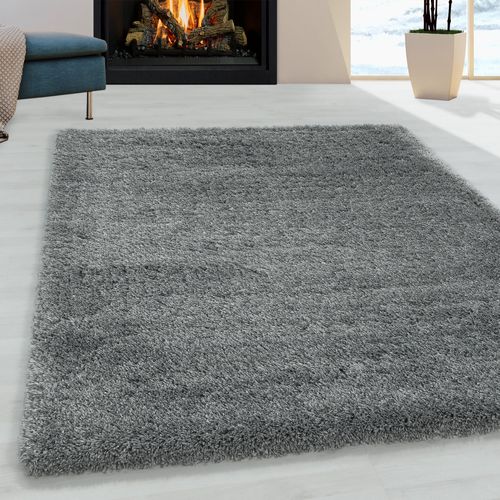 Moelleux - Tapis Cosy à Poils Longs - Gris Clair 080 X 150 Cm