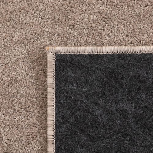 Tapis Uni De Salon Chambre Relax Sobre Et Epuré - Beige 280 X 370 Cm