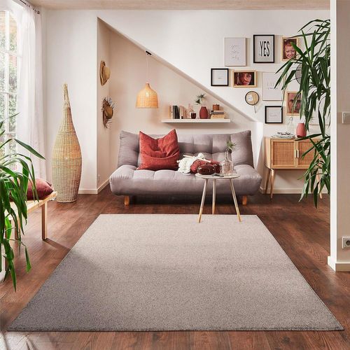 Tapis Uni De Salon Chambre Relax Sobre Et Epuré - Beige 280 X 370 Cm