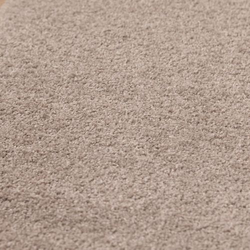 Tapis Uni De Salon Chambre Relax Sobre Et Epuré - Beige 280 X 370 Cm