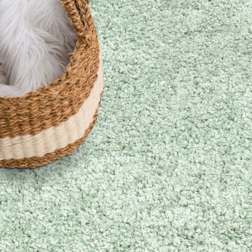 Tapis à Poils Longs Softy Vert Amande 160x230cm