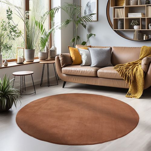 Tapis Lavable Rond En Microfibre Douce - Marron 160x160cm
