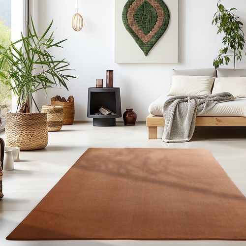Tapis Lavable En Microfibre Douce - Marron 80x150cm