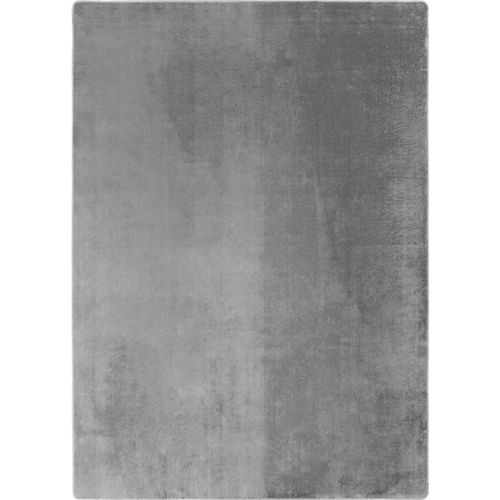 Tapis 140x200cm Poils Doux Lavable Argent