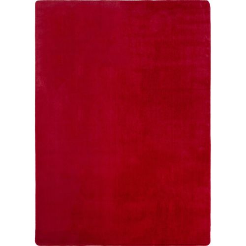 Tapis 60x100cm Poils Doux Lavable Rouge
