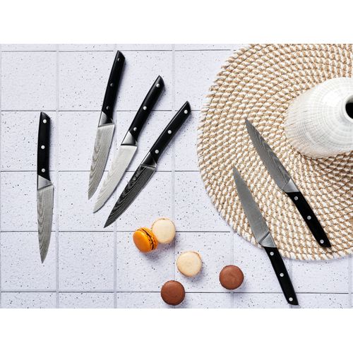 Lot De 6 Couteaux à Steak En Inox Noir D