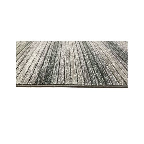 Tapis De Salon Ilgaz Gris, 160x230