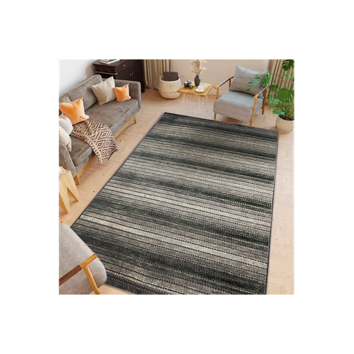 Tapis De Salon Ilgaz Gris, 120x180