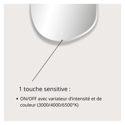 Miroir LED Organique à Bords Biseautés Fluea