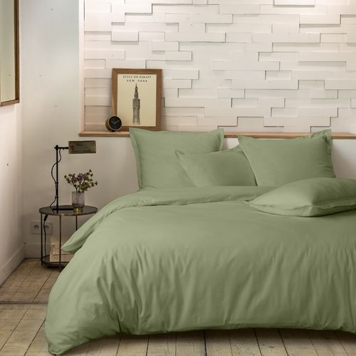 Taie D'oreiller 65x65 Cm Percale De Coton Vert D'eau