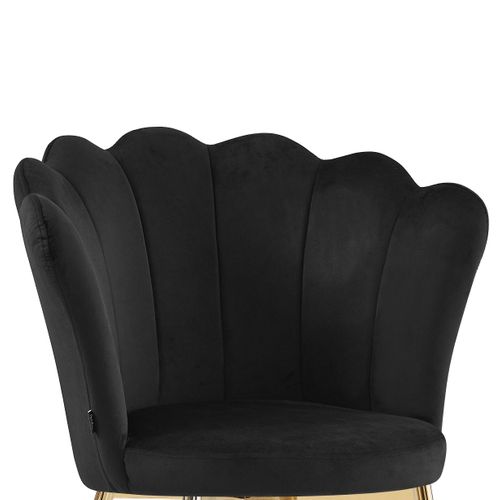 Lot De 2 Chaises Nymphea Pieds Gold Assise Velours Noir