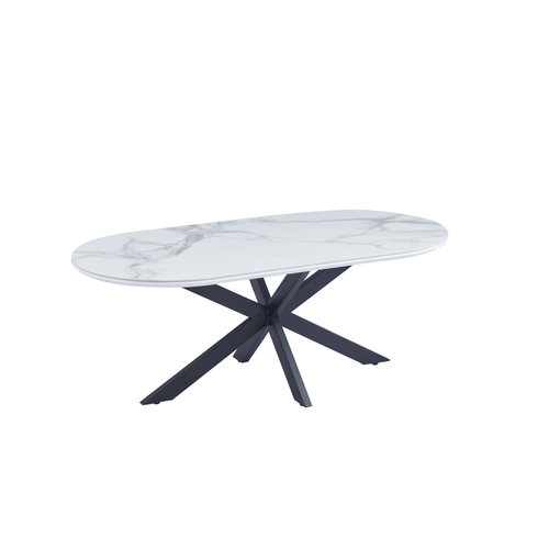 Table Basse Manon Métal Noir et Céramique Marbre Blanc 120x60 Cm