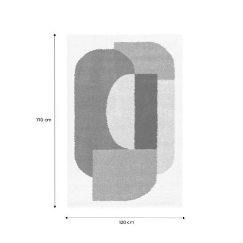 Tapis Intérieur Shaggy. Motifs Géométriques. Multicolore. 120 X 170cm