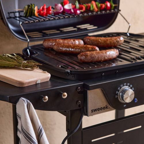 Barbecue Électrique Noir 2 Brûleurs. Acier Émaillé 2300 W. L 100 X P 61 X H 121.5 Cm