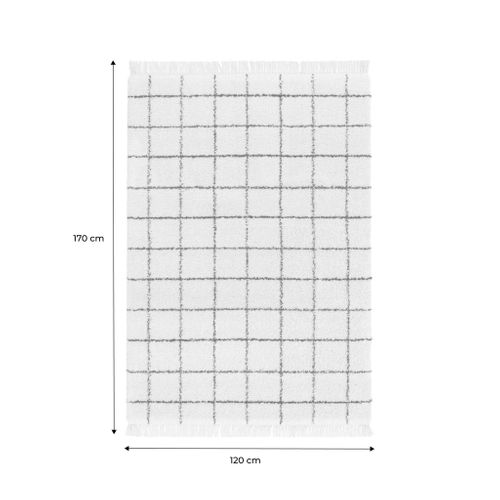 Tapis Intérieur Shaggy Motif Quadrillage Multicolore Avec Franges Edward 120x170cm