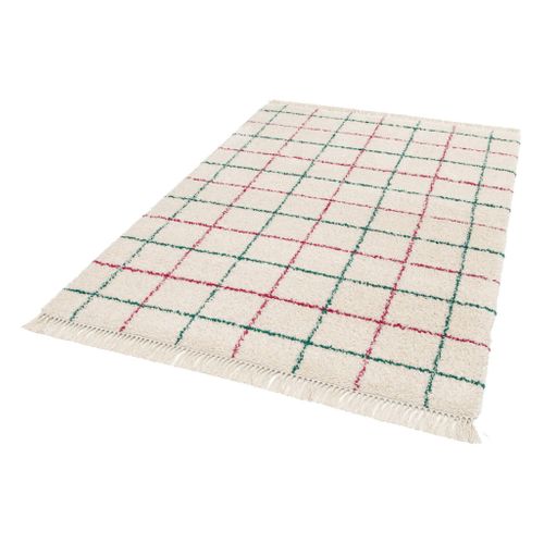 Tapis Intérieur Shaggy Motif Quadrillage Multicolore Avec Franges Edward 120x170cm