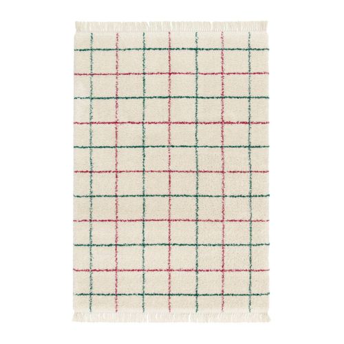 Tapis Intérieur Shaggy Motif Quadrillage Multicolore Avec Franges Edward 120x170cm