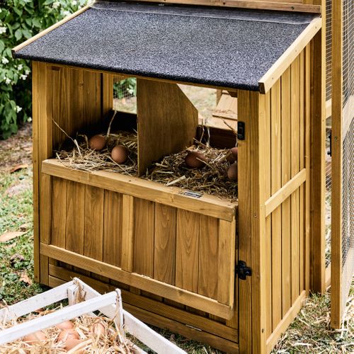 Poulailler 6 Poules Bois De Sapin - 195.5 X 90 X 152.5 Cm - Gasconne