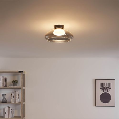 Éclairage LED Rond Ultra Tendance Avec Abat-jour En Verre Fumé - Théoria