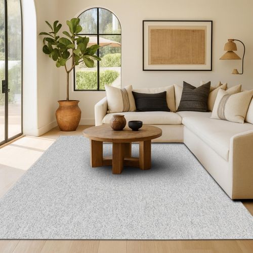 Tapis Salon Tufté Texturé Effet Bouclé Gris 200x290