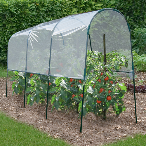 Serre à Tomates 4 M