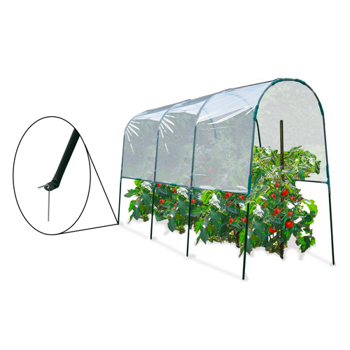 Serre à Tomates 4 M