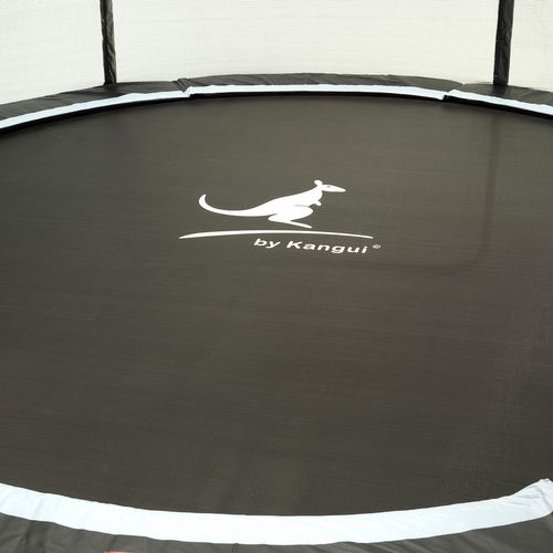 Trampoline Rond Bleu D.250cm Avec Filet, Échelle ,bâche Et Kit Ancrage