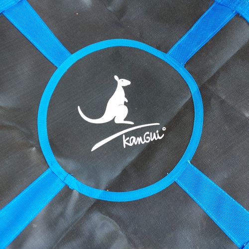 Balançoire Ronde Nid D'oiseau Rond D.100cm - Bleu - Charge 150kg Maxi