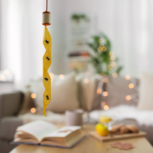 Pack De 4 Rubans Attrape-mouches – Sans Insecticide, Inodore et Facile à Installer