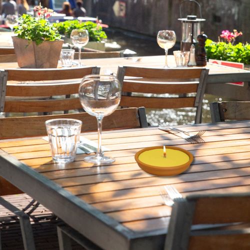 Pack 2 Bougies Citronnelle Anti-moustique En Pot Terre