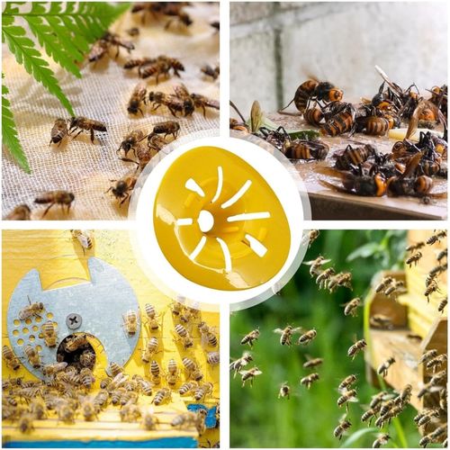 Lot De 2 Pièges à Guêpes Réutilisables Diy Extérieur