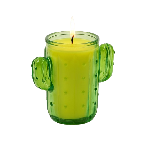 Bougie Citronnelle Cactus En Pot – Anti-moustique Extérieur Durable