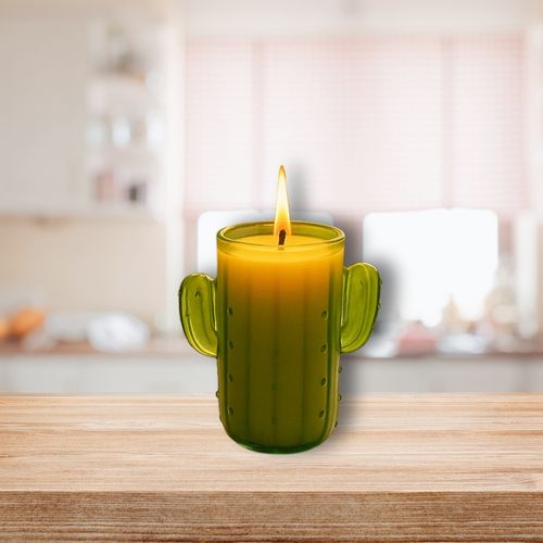 Bougie Citronnelle Cactus En Pot – Anti-moustique Extérieur Durable