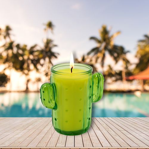 Bougie Citronnelle Cactus En Pot – Anti-moustique Extérieur Durable