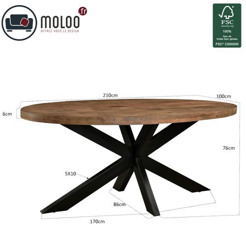 Manaus-table à Manger Ovale 8/10 Personnes 210 Cm En Bois Massif