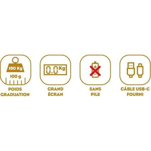 Pèse-personne - 8729 - Tortues Gold Métallisées - USB Réparable - 180 Kg/100 G - Rose