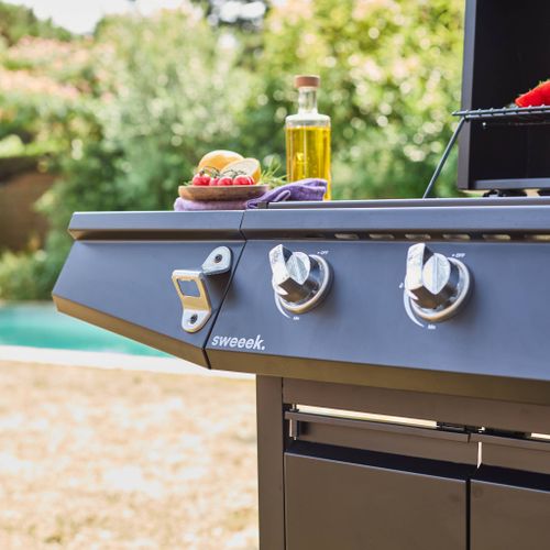 Barbecue Gaz - Treville - Barbecue 3 Brûleurs + 1 Feu Latéral Noir. Avec Thermomètre