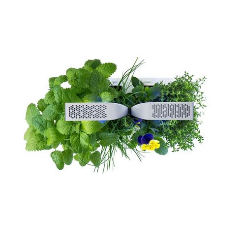 Potager D'Intérieur Exky Smart - Blanc Arctic - Fabriqué En France - Autonome Avec Éclairage LED - 2 Lingots Inclus