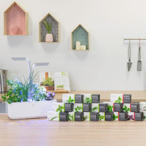 Lingot De Piment De Cayenne Bio En