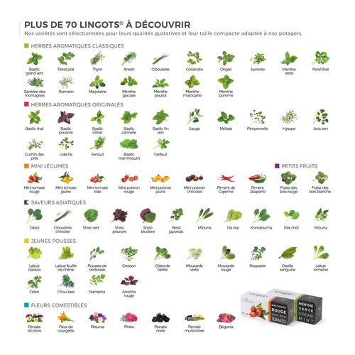 Lingot De Piment De Cayenne Bio En