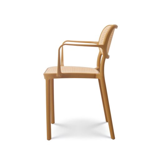 Chaise De Salle à Manger Moutarde Style Vintage Avec Accoudoirs