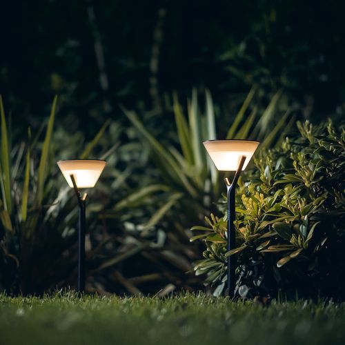 Balise Solaire Ezilight® Solar Peaky Cup Lot De 4