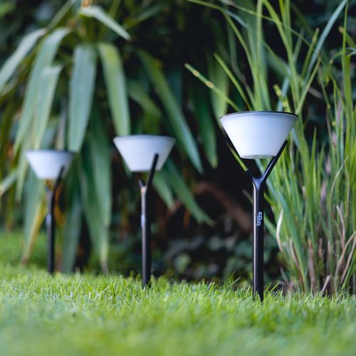 Balise Solaire Ezilight® Solar Peaky Cup Lot De 4