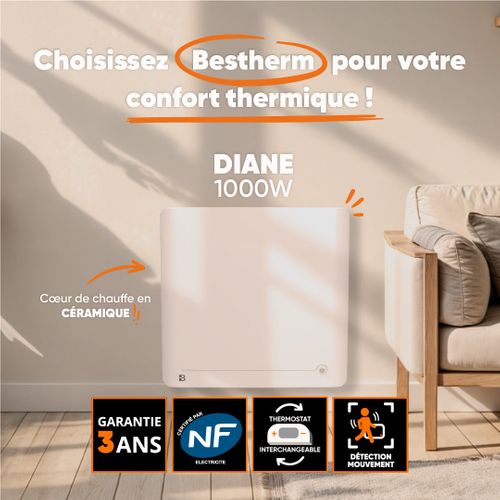 Radiateur Électrique Fixe à Inertie Sèche Céramique 1000w, Détecteur Présence Diane Horizontal Blanc