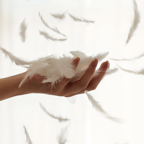 Cozy Couette - 220x240cm - 100% Plume De Canard - Drimz By Morphea