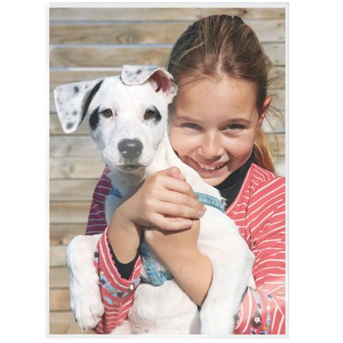 Pochettes De Plastification Ilam 80 Microns A4 100 PCs