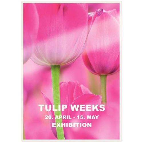 Pochettes De Plastification Ilam 125 Microns A5 100 PCs